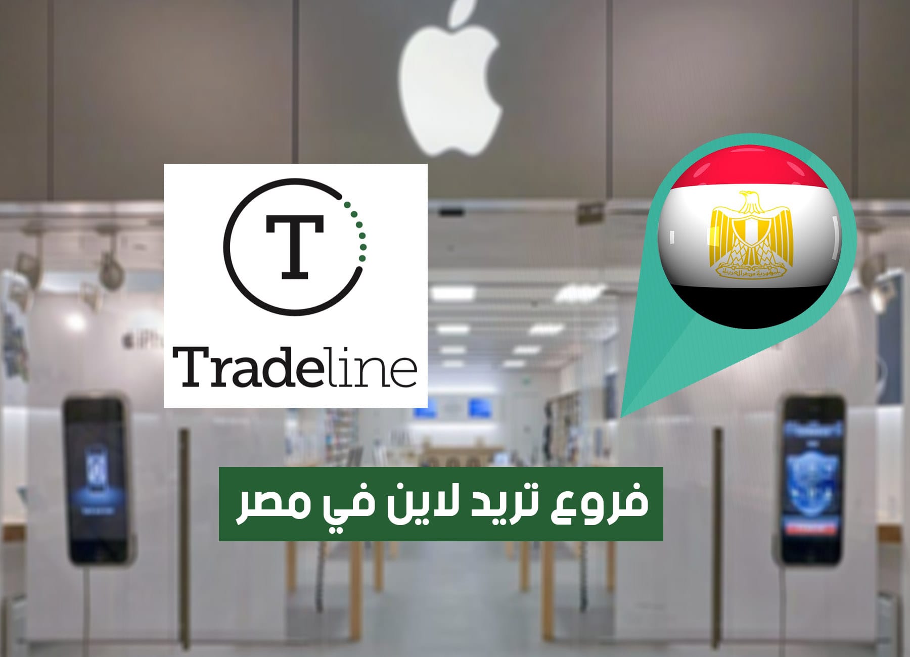 أماكن فروع تريد لاين في مصر (2026) Tradeline Egypt Branches